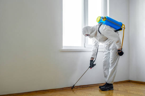 Best Commercial Pest Control  in Minneapolis, KS